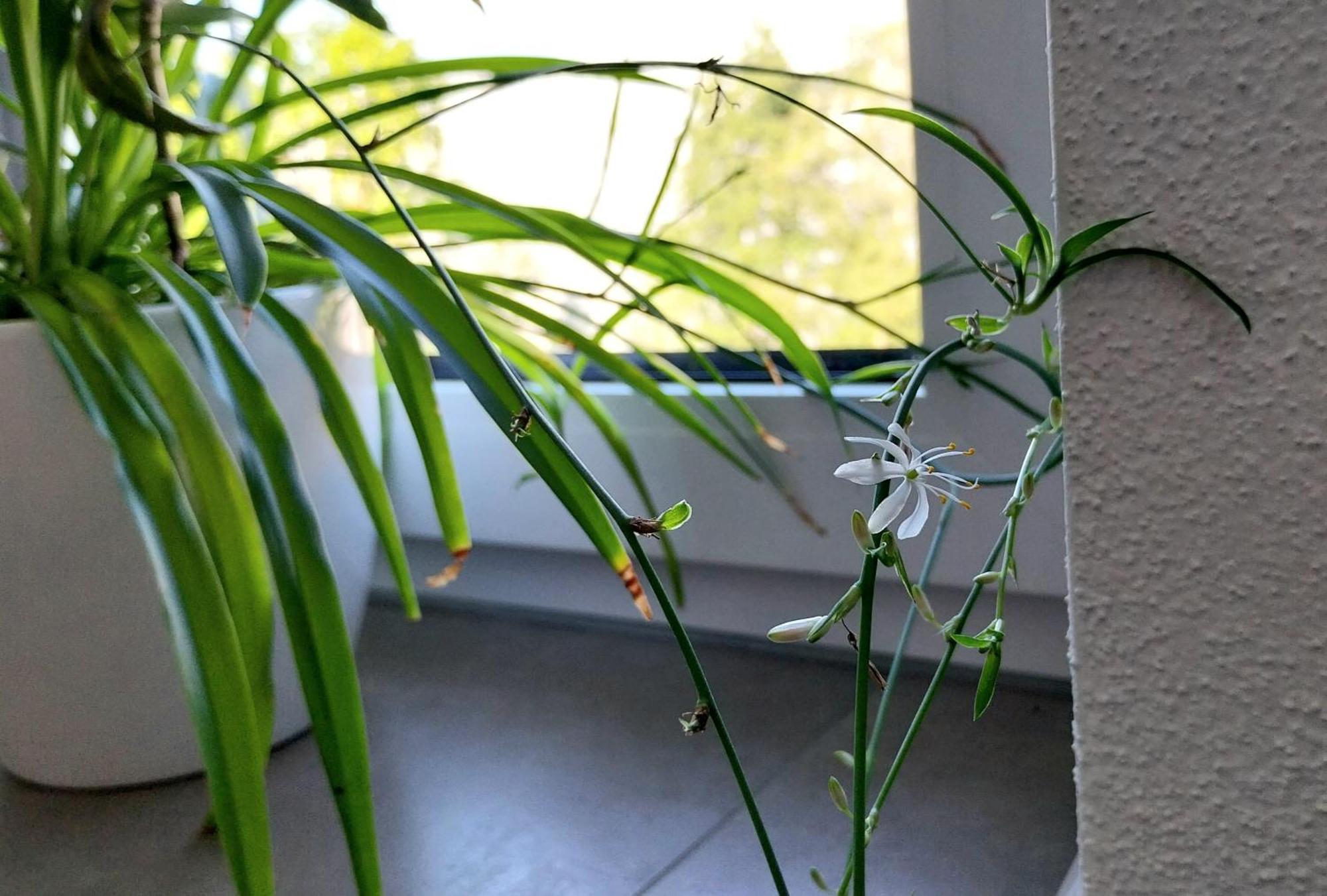 Kempten Mit Bauernhof-Flair Luaran gambar