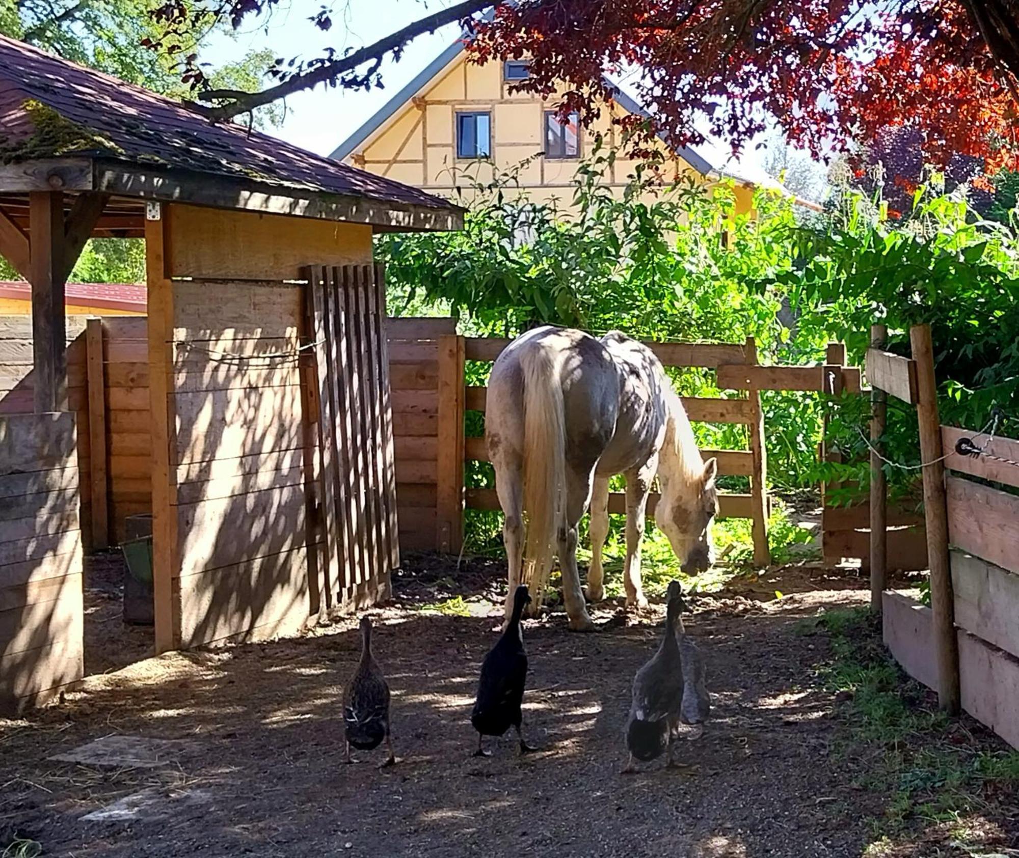 Kempten Mit Bauernhof-Flair Luaran gambar