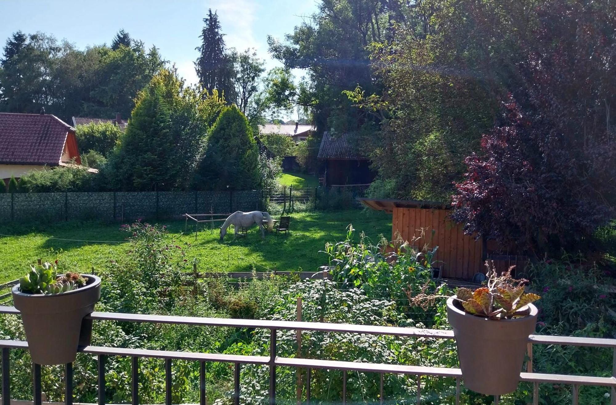 Kempten Mit Bauernhof-Flair Luaran gambar